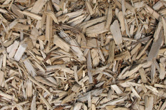 biomass boilers Carleen